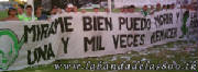bandera4.jpg