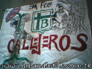 bandera8.jpg