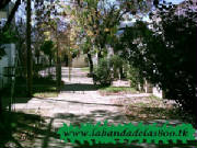 elbarrio4.jpg