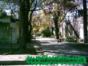 elbarrio6.jpg