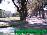 elbarrio7.jpg