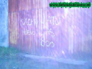 pintada1.jpg