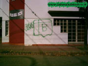 pintada4.jpg