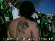tatu3.jpg