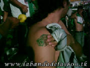 tatu4.jpg