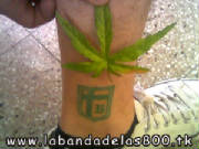 tatu7.jpg
