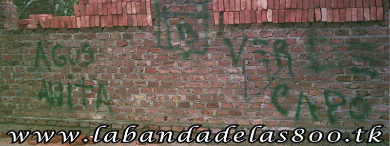 pintada27.jpg