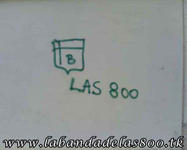 pintada37.jpg